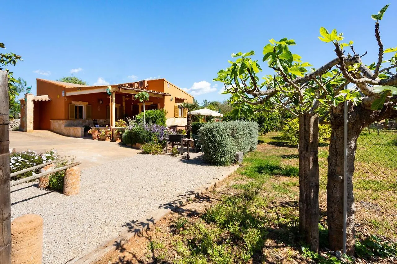 Sa Caseta Villa Llubi 0*,  Spain