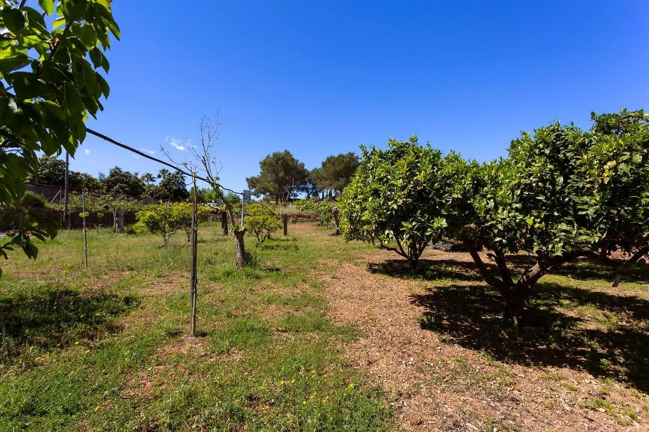 Holiday home Sa Caseta Villa Llubi Spain