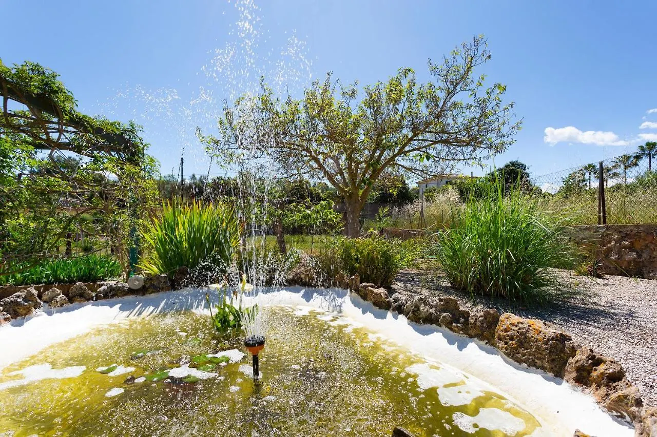 Sa Caseta Villa Llubi Holiday home